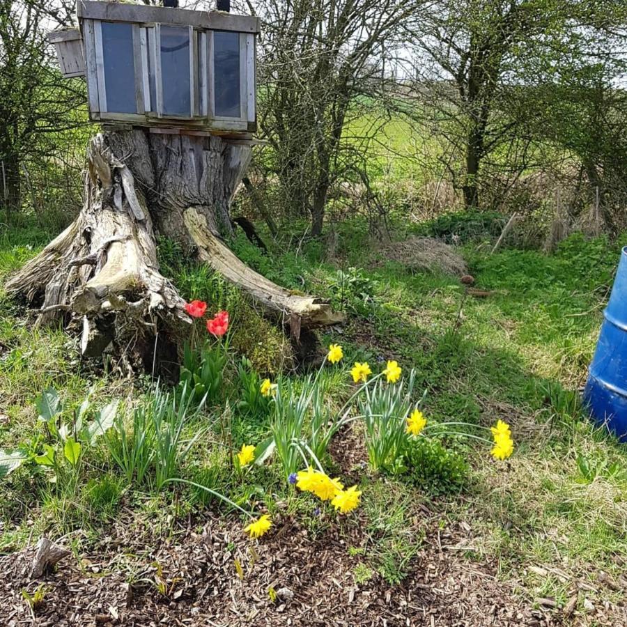 Romantic Escape Luxury Hobbit House With Hot Tub! Sheerness Exteriör bild